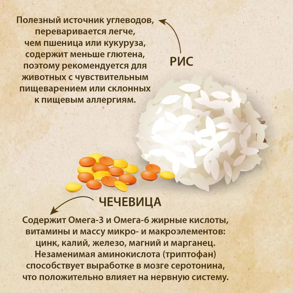 Сухой корм PRIME EVER Fresh Meat Kitten для котят, индейка с рисом, 1.5 кг