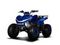 Квадроцикл SHARMAX Cross 180 RX
