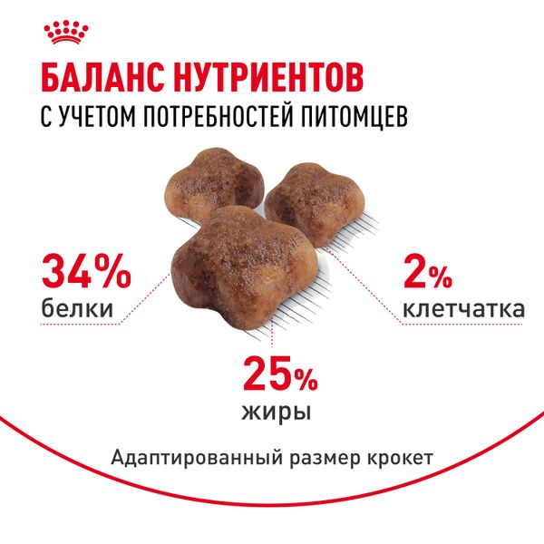 Сухой корм Royal Canin Mother&Babycat для котят в период первой фазы роста и отъема, беременных и кормящих кошек