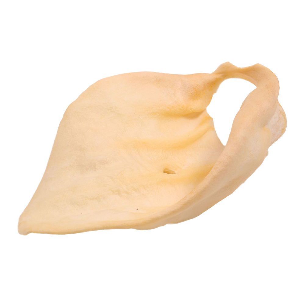 Титбит 319625 Лакомство для собак Ухо телячье большое 27г