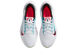 Кроссовки Nike Zoom Winflo 7 (Женская размерная сетка)