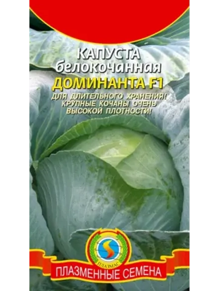 Капуста белокочанная семена