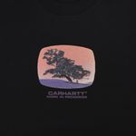 Футболка мужская Carhartt WIP Seeds артикул:I031028 - купить в магазине Дайс