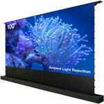 Экран Cactus CS-PSFRALR-221X125