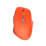 Мышь Canyon CNS-CMSW21R