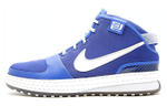 Кроссовки Nike Lebron 6 Kid