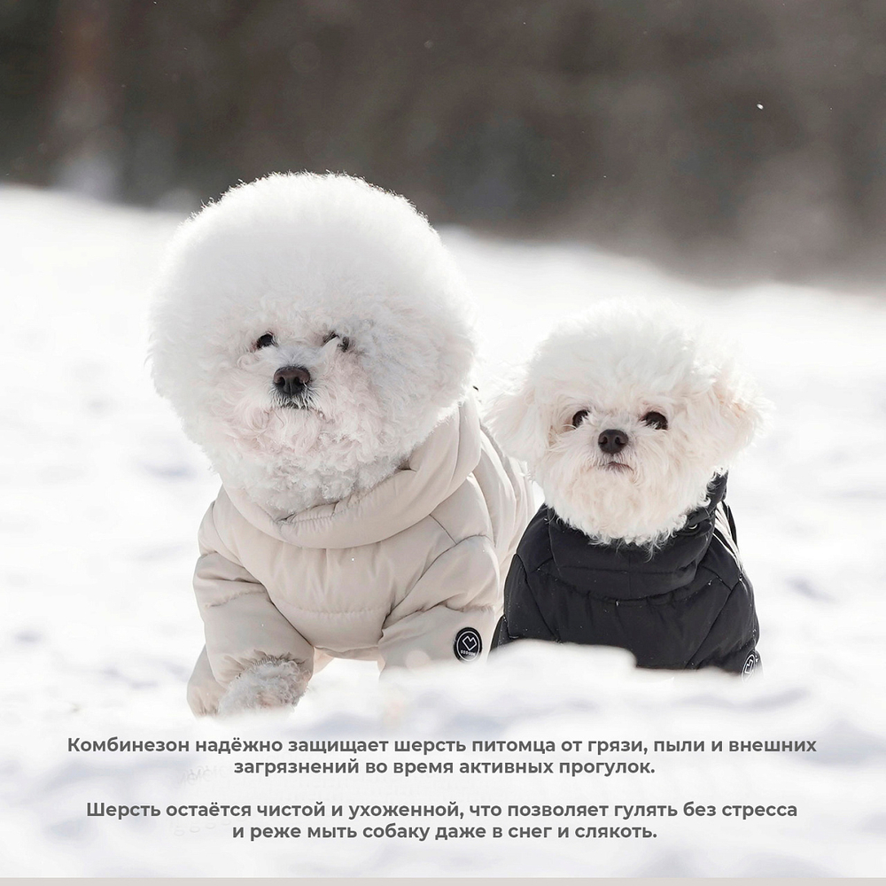 672 Комбинезон "Комфорт до -20-25°C" с молнией на спине, девочка/ COMFORT - FOR GIRLS, для девочки PREMIUM (SSOOOK)