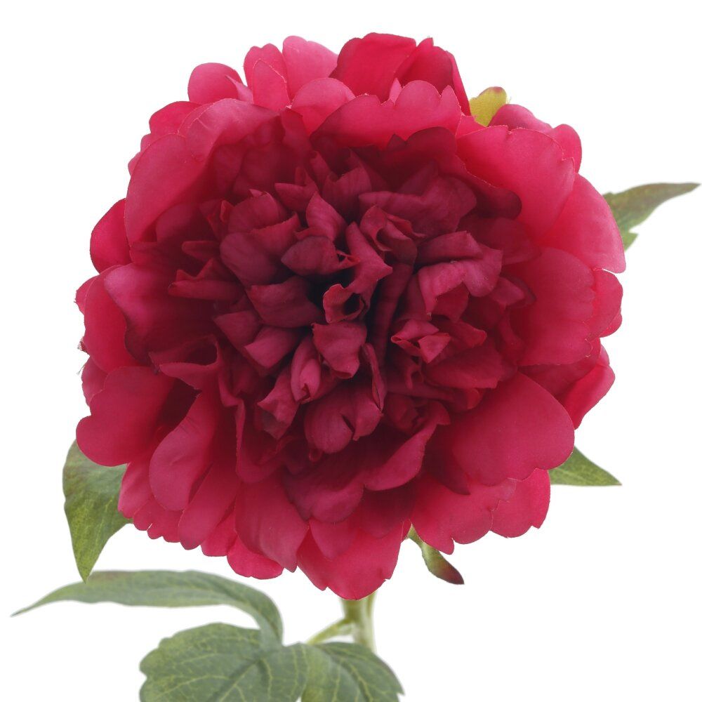 GAEM Цветок искусственный "Пион" (Real Touch), L17 W15 H58 см