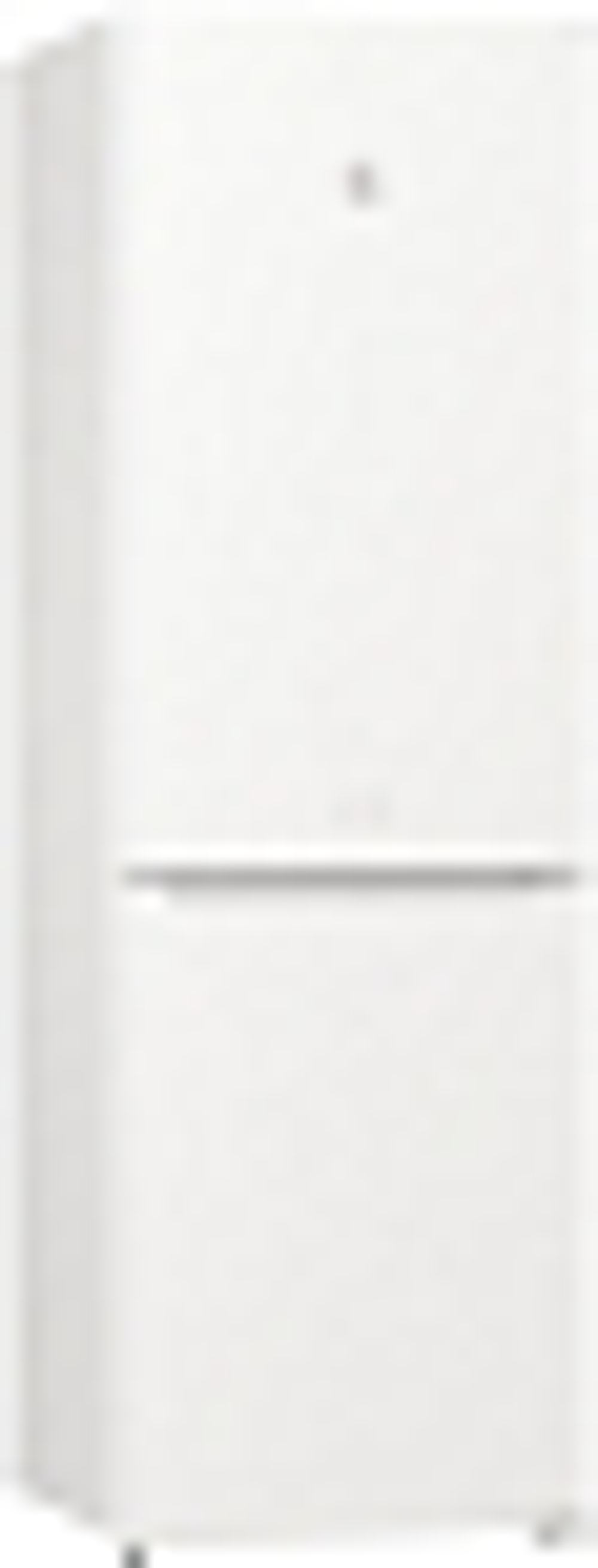 Отдельностоящий двухкамерный холодильник Gorenje RK6191SYW