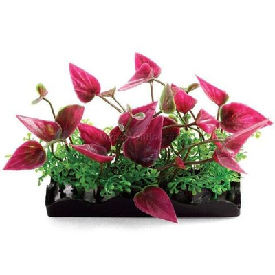 Растения композиция, розовая, 80мм, Laguna AQUA