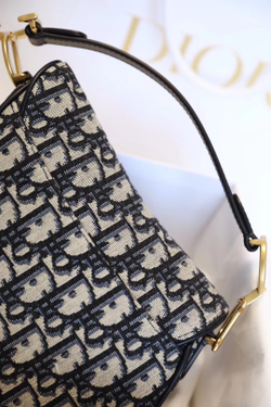 Christian Dior Saddle Bag 21 cm