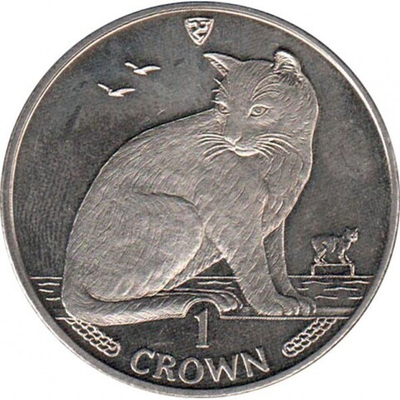 Уличная кошка