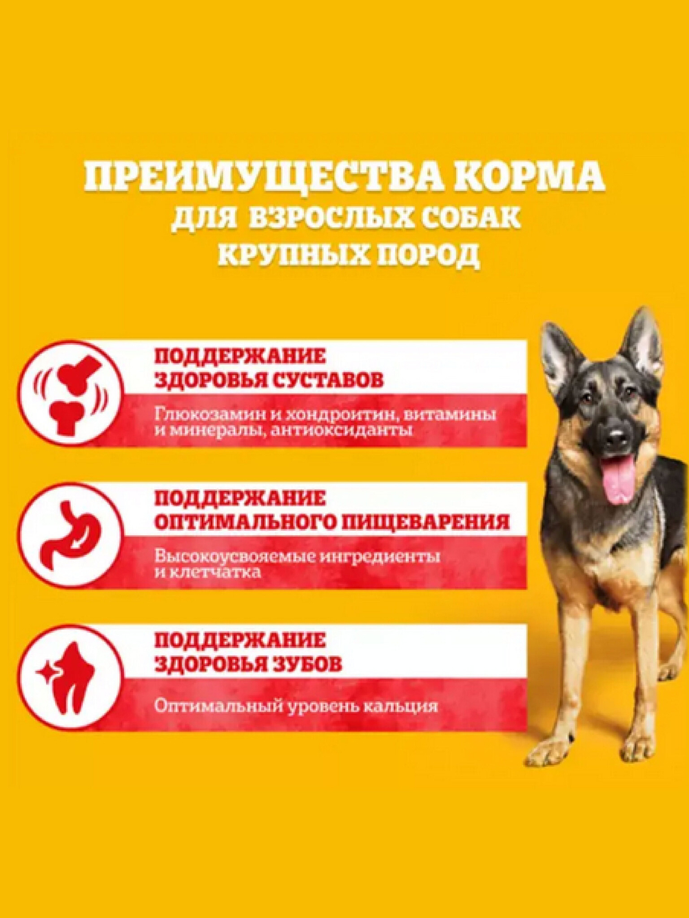Сухой корм для собак крупных пород. Говядина