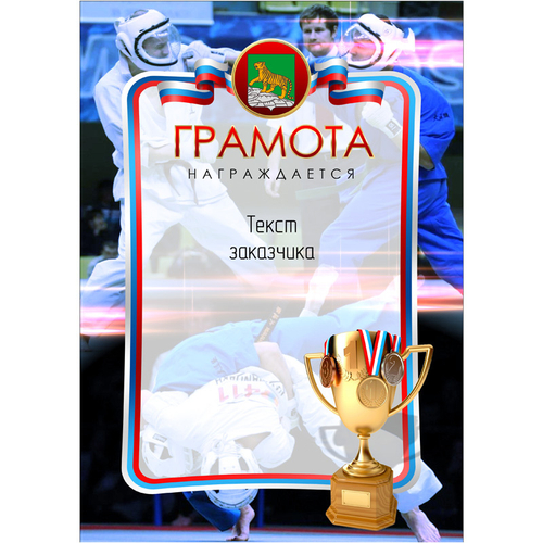 PNDiploma-041 с текстом