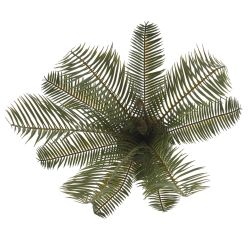 GAEM Цветочная композиция "Пальма", L23 W18 H45 см, 2в.