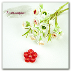 каттер хамелациума