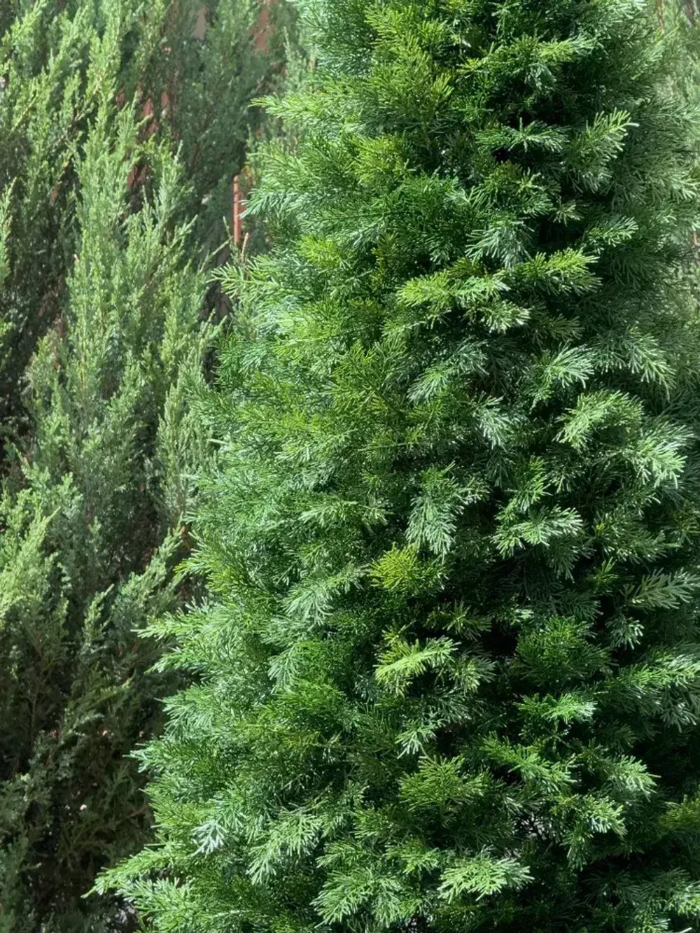 Туя искусственная (Литая хвоя) 230 см / 2,3 м