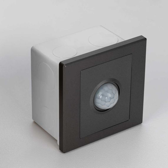 Датчик движения Citilux Скалли CLR005KS1