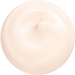 Shiseido Essential Energy Hydrating Day Cream - увлажняющий дневной крем SPF 20 /  napełnienie 50  ml  / GTIN 729238182882