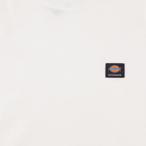 Футболка мужская Dickies Skateboarding Mount Vista Shirt артикул:WSSK6_white - купить в магазине Дайс