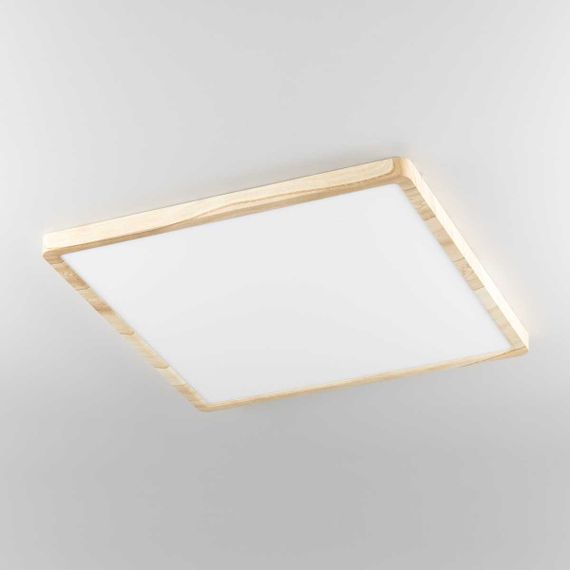 Светильник накладной Citilux Бейсик CL738K502V