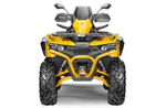 Квадроцикл СТЕЛС ATV 800 Guepard Trophy EPS CVTech