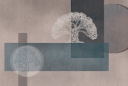 Коллекция Геометрия