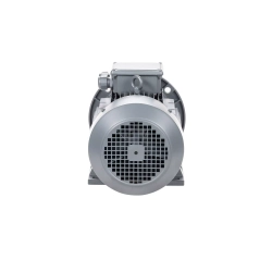 Электродвигатель ESQ TR 112 MA2-SDN-IE2 4/3000 IMB35