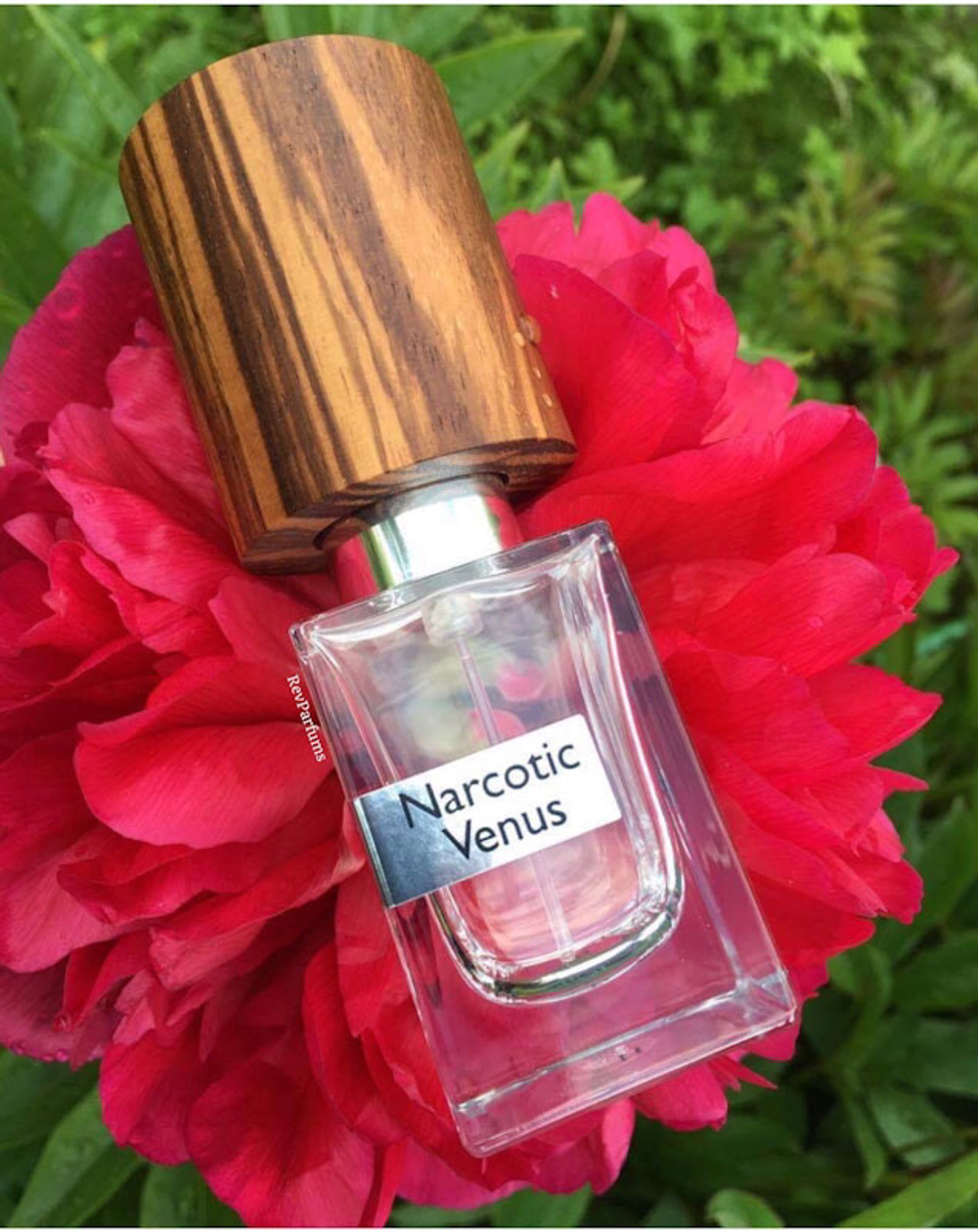Nasomatto Narcotic Venus