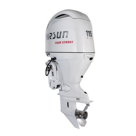 Лодочный мотор Parsun F115 FEX-T EFI White