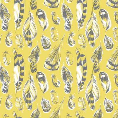 серые перья на желтом