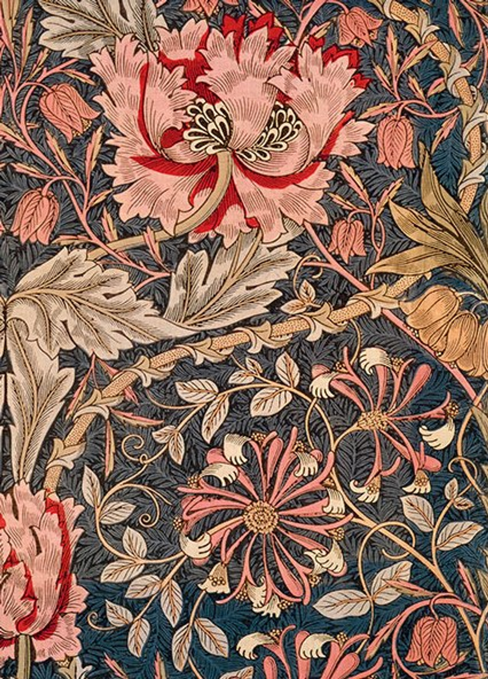 William Morris: 100 Postcards