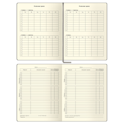 Дневник 1-11 кл. 48л. (ЛАЙТ) "Total gray", иск. кожа, тиснение, цветн. срез, ляссе, BG