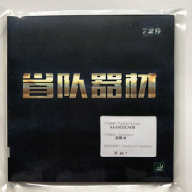 Friendship 729 BATTLE II Provincial