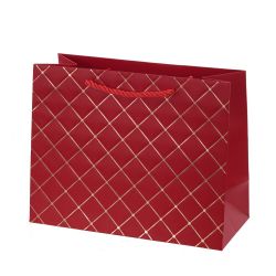 GAEM Пакет подарочный (бумага 210г/м2, блок 12шт), L23 W10 H18 см, 5в.