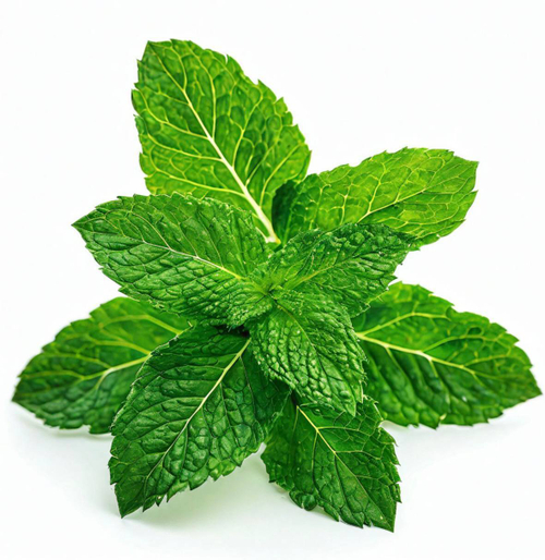 Сироп "Мята"