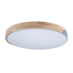 10004/36 Grey Потолочный светильник LOFT IT Axel