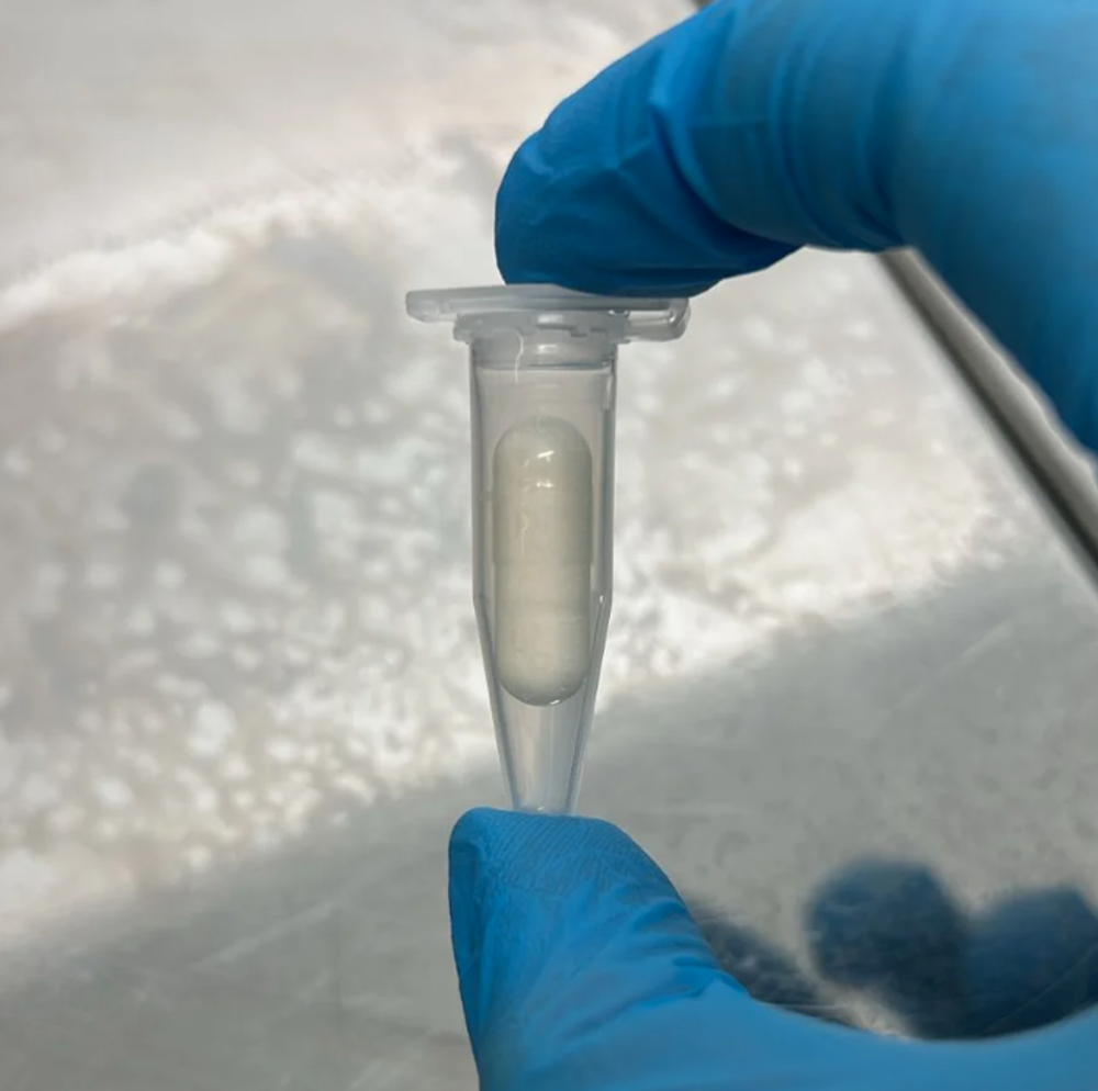 Эппендорф «Авена-Био»