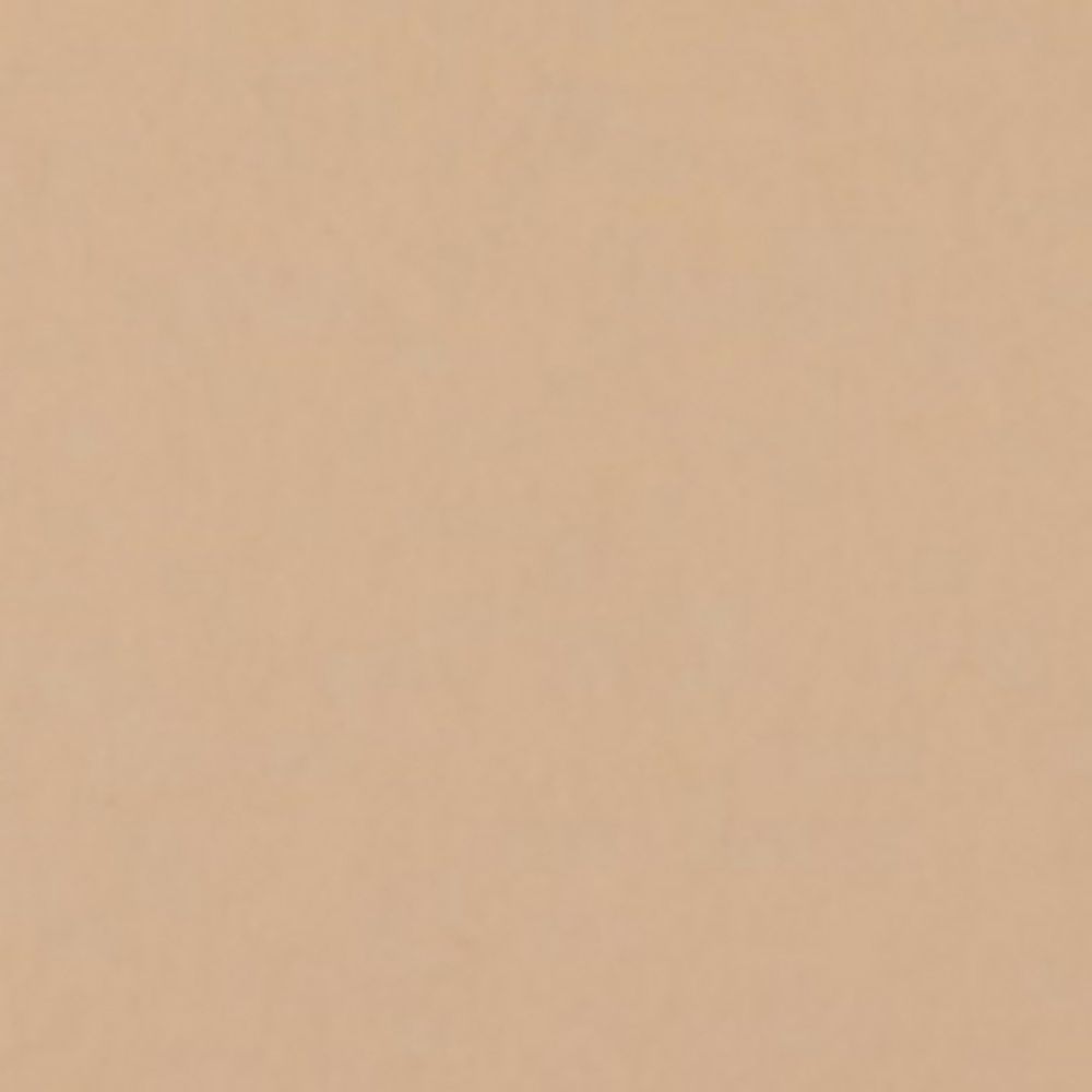 Фон бумажный FST 2,72х11 1038 Pongee (Песочный)