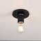 Потолочный светильник Imperium Loft RH Utilitaire Socket Flushmount 123676-22