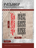 Термонаклейка на одежду, термопринт Сургут вертикаль