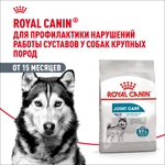 Royal Canin Maxi Joint Care Макси Джойнт кэа Корм сухой для взрослых собак крупных размеров с повышенной чувствительностью суставов 3кг