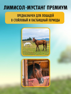 Соль лизунец  для животных лошадей Мустанг