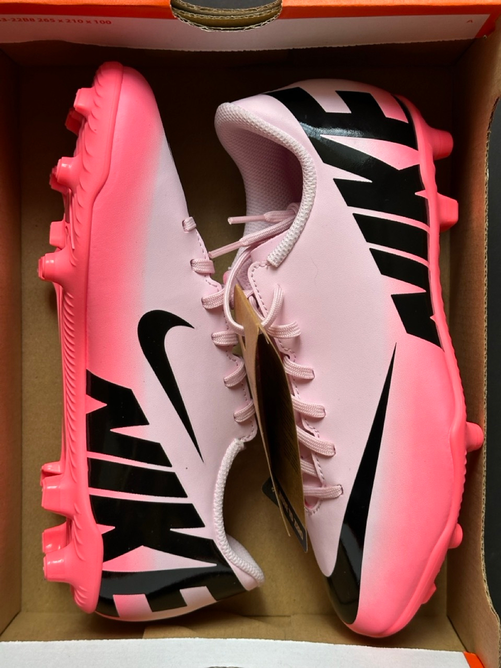 Mercurial junior 2025