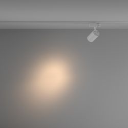 Трековый магнитный трехфазный светодиодный светильник Maytoni Trinity   TR029-3-10W3K-S-W