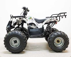 Квадроцикл GreenCamel Атакама T220 (48V 1000W R8 Дифференциал) пониженная электро