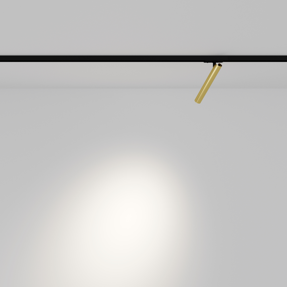 Трековый светодиодный светильник Maytoni UNITY Focus T TR141-1-6W3K-M-BS