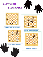 Карточки в лапочке. Финансы (33 карточки с заданием на обороте)