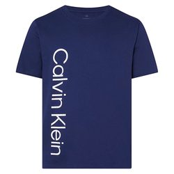 Мужская теннисная футболка Calvin Klein PW SS T- Shirt - небесный