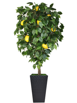 Искусственное дерево Лимон 150см в высоком коричневом кашпо ротанг